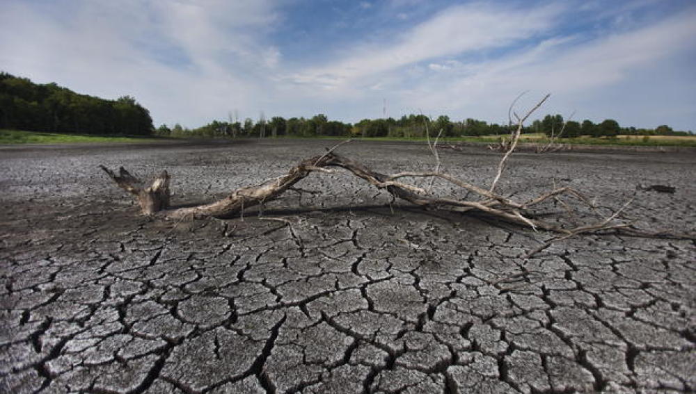 La imagen muestra el fondo de un pantano en West Lafayette, Indiana, EE.UU.