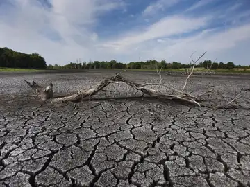 La imagen muestra el fondo de un pantano en West Lafayette, Indiana, EE.UU. La imagen muestra el fondo de un pantano en West Lafayette, Indiana, EE.UU.