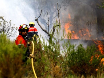 Un muerto y tres heridos en un incendio forestal en Alicante