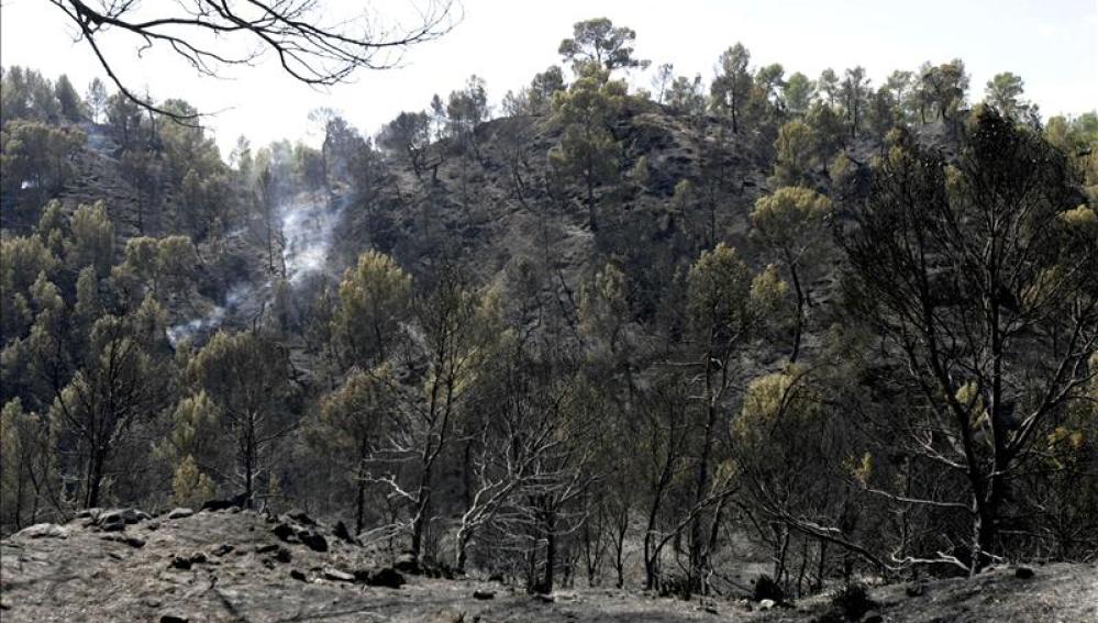 Incendio forestal en Valdemorillo