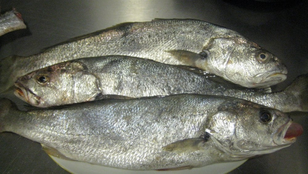 Pescado