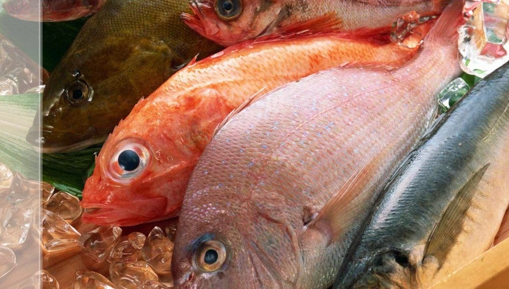 Pescado