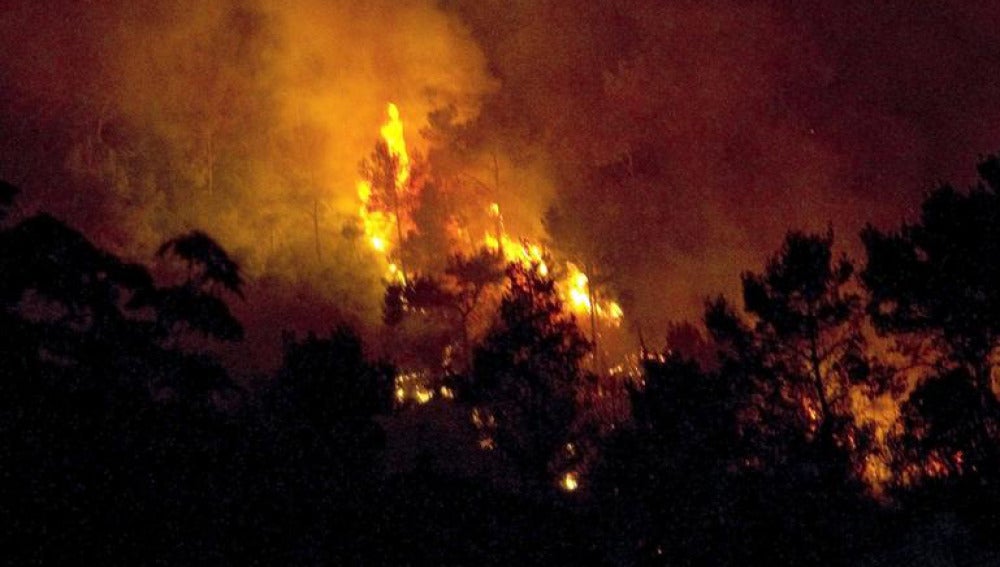 Incendio forestal en Vallirana (Barcelona)