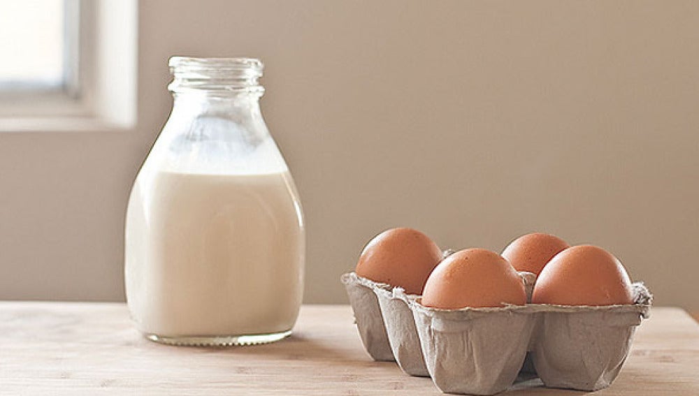 Leche y huevos2