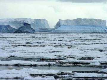 Hielo marino ártico