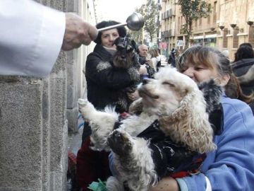 Una mascota recibe la bendición por San Antón Una mascota recibe la bendición por San Antón
