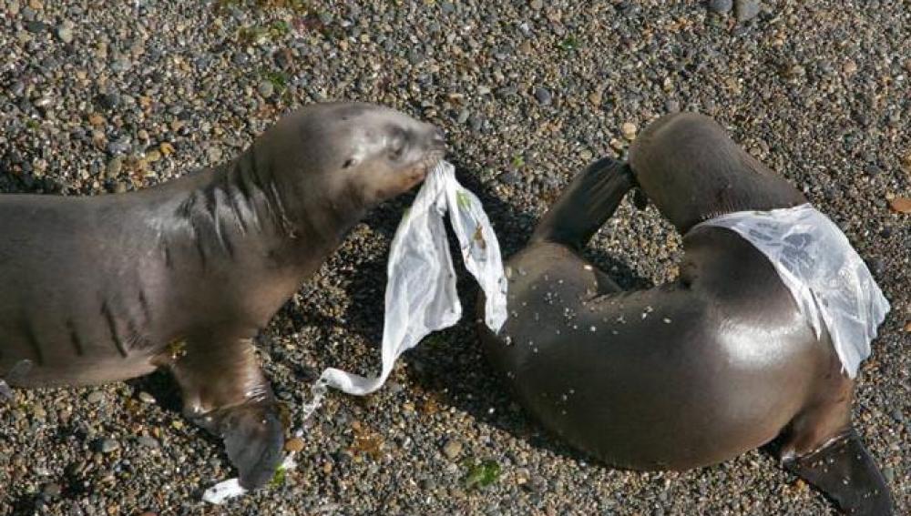 El Día Internacional sin bolsas de plástico
