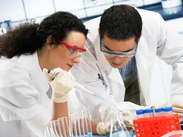 Jóvenes investigadores españoles Jóvenes investigadores españoles