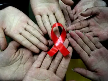 Investigadores europeos buscan reproducir el único caso de curación del VIH Investigadores europeos buscan reproducir el único caso de curación del VIH