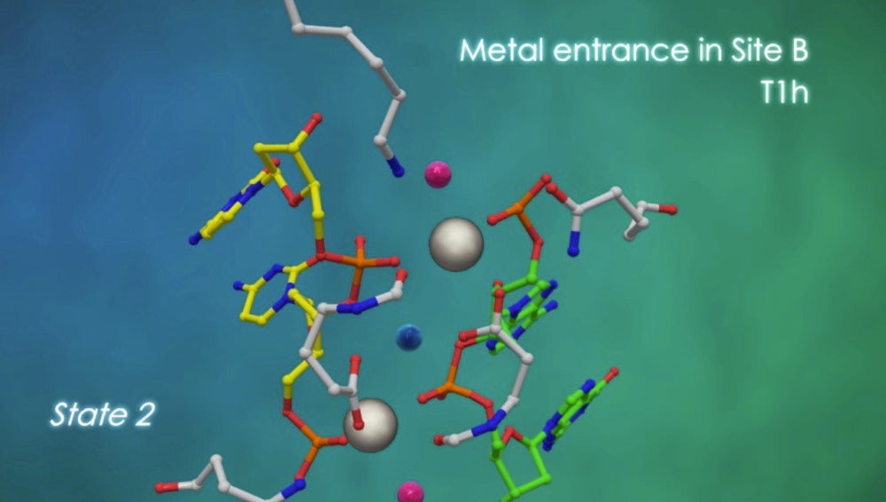 Imagen que representa la entrada de los metales (bolas grises) que dispararán la reacción de rotura de la doble cadena de ADN.