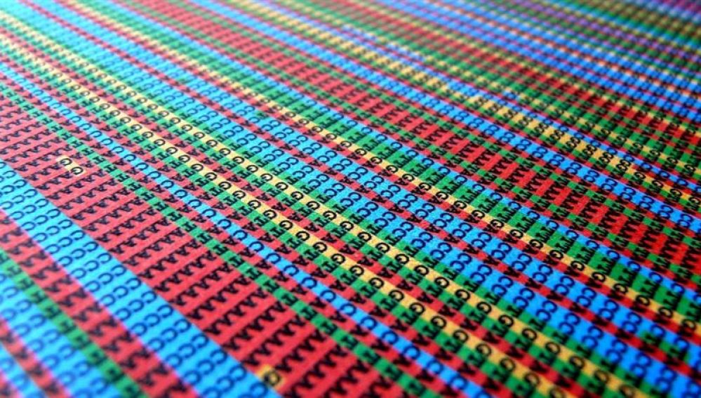 Identifican 12 nuevas causas genéticas de trastornos del desarrollo