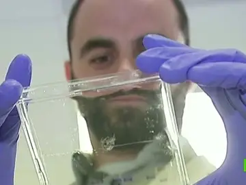 Investigadores insisten en que la ciencia puede ser el motor de la recuperación española Investigadores insisten en que la ciencia puede ser el motor de la recuperación española