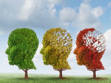 Cinco precauciones contra la demencia senil