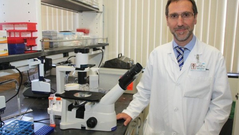  Antoni Ribas: “La inmunoterapia ya es un tratamiento estándar contra el cáncer”