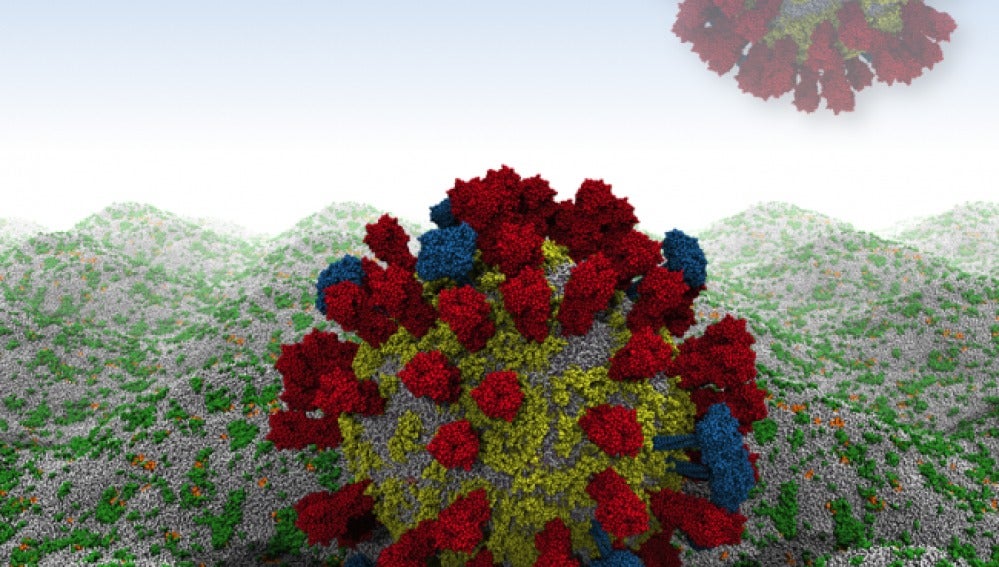  Investigadores han conseguido simular en un ordenador el virus de la gripe 