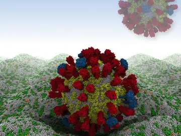 Investigadores han conseguido simular en un ordenador el virus de la gripe Investigadores han conseguido simular en un ordenador el virus de la gripe