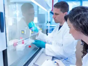 La sacarina podría ser un inhibidor del cáncer La sacarina podría ser un inhibidor del cáncer