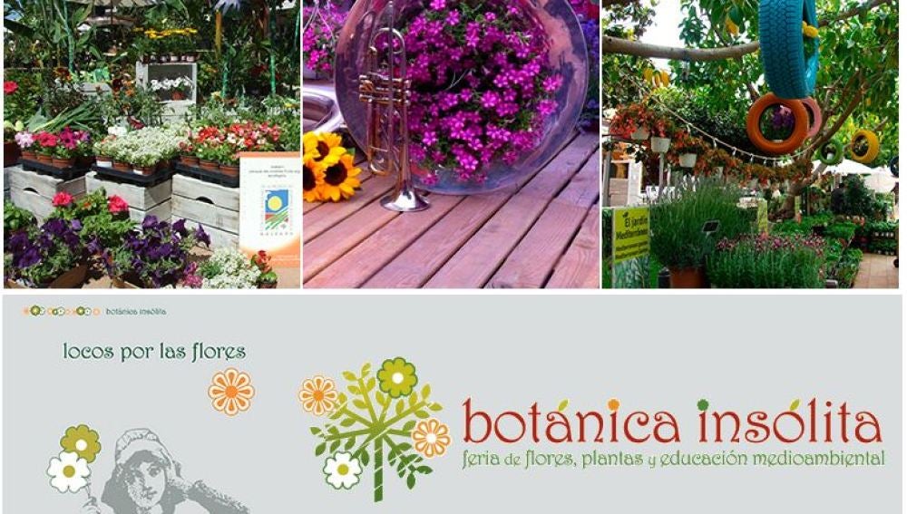 'Botánica Insólita': el verde invade Madrid