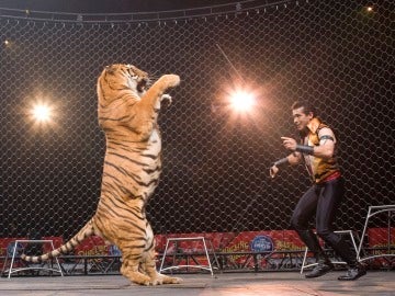 Animales en los circos