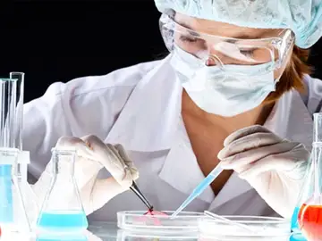 La interrupción de una vía del cáncer podría mejorar nuevas inmunoterapias La interrupción de una vía del cáncer podría mejorar nuevas inmunoterapias