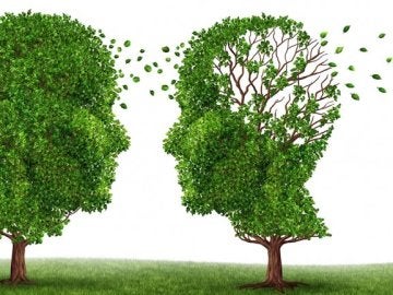 El Alzheimer puede comenzar a desarrollarse a los 30 años