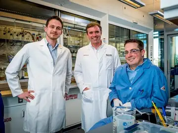 Investigan una nueva vía para 'desintegrar' células cancerosas Investigan una nueva vía para 'desintegrar' células cancerosas