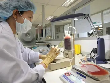 Diseñan un anticuerpo artificial que podría combatir la leucemia Diseñan un anticuerpo artificial que podría combatir la leucemia