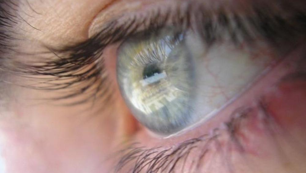 Descubren el mecanismo molecular que causa las molestias de la enfermedad del ojo 
