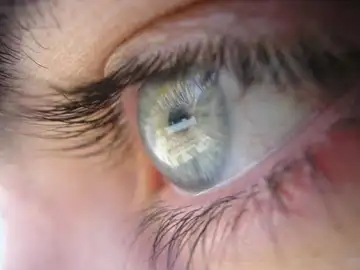 Descubren el mecanismo molecular que causa las molestias de la enfermedad del ojo Descubren el mecanismo molecular que causa las molestias de la enfermedad del ojo