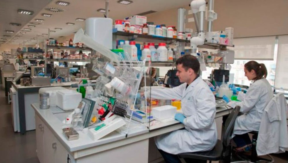 Un fármaco podría detener el proceso de supervivencia de las células cancerosas