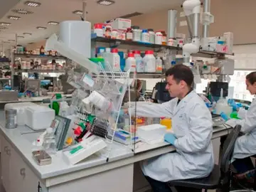 Un fármaco podría detener el proceso de supervivencia de las células cancerosas Un fármaco podría detener el proceso de supervivencia de las células cancerosas