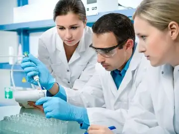 Investigan una nueva vía para frenar las infecciones gracias a una proteína Investigan una nueva vía para frenar las infecciones gracias a una proteína