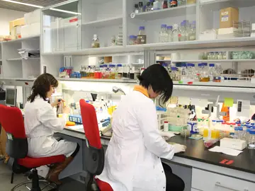 Descubren la causa genética de algunos tipos de cáncer como el de mama y ovario Descubren la causa genética de algunos tipos de cáncer como el de mama y ovario