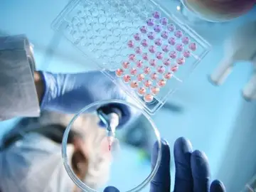 En busca de marcadores genéticos para personalizar los tratamientos de cáncer infantil En busca de marcadores genéticos para personalizar los tratamientos de cáncer infantil