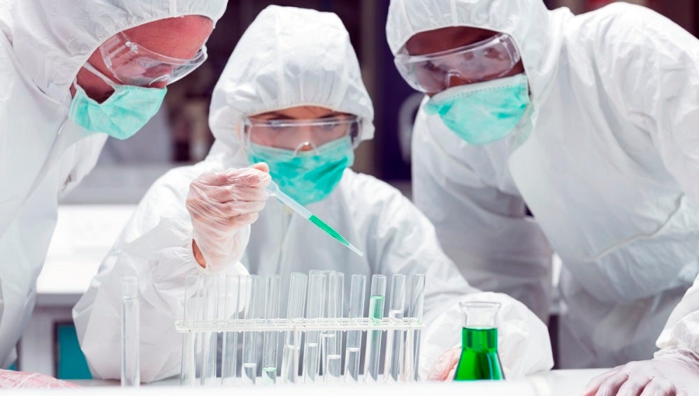 Los elefantes tienen un mecanismo clave para combatir el cáncer en las personas