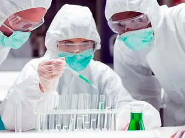 Los elefantes tienen un mecanismo clave para combatir el cáncer en las personas Los elefantes tienen un mecanismo clave para combatir el cáncer en las personas