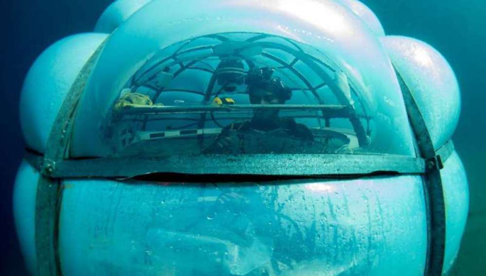 Descubrimos los invernaderos submarinos: innovadores huertos bajo el mar 