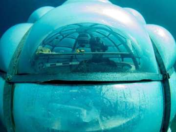 Descubrimos los invernaderos submarinos: innovadores huertos bajo el mar 
