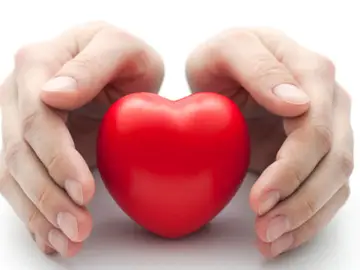 Avances en la bioimpresión en 3D para reconstruir el corazón Avances en la bioimpresión en 3D para reconstruir el corazón