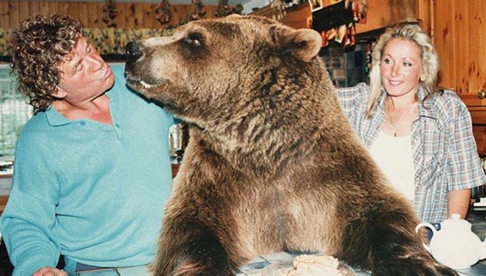 La historia del oso 'Hércules' 