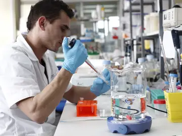 Descubren un gen que causa enfermedades neuropáticas y atrofias espinales Descubren un gen que causa enfermedades neuropáticas y atrofias espinales