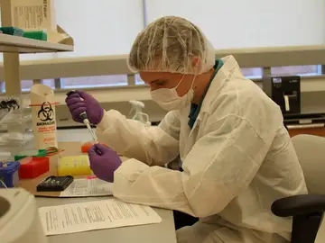 Descubren que las moléculas virales son esenciales para el desarrollo humano Descubren que las moléculas virales son esenciales para el desarrollo humano