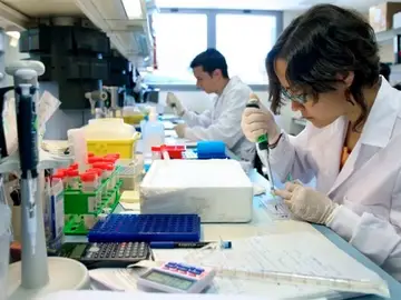 ¿Qué papel desempeña el envejecimiento de las células en el cáncer? ¿Qué papel desempeña el envejecimiento de las células en el cáncer?