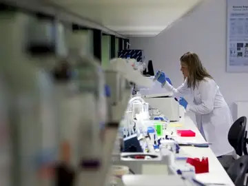 La edición genética, el descubrimiento científico del 2015 La edición genética, el descubrimiento científico del 2015