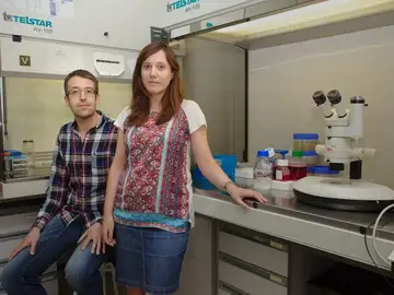 Investigadores constatan la posibilidad de que se desarrolle cáncer sin mutaciones en el ADN Investigadores constatan la posibilidad de que se desarrolle cáncer sin mutaciones en el ADN