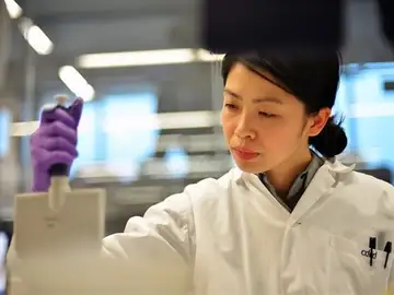 Investigadores Investigadores