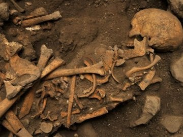Fósiles de homínidos descubiertos en la Cueva El Mirador, en Atapuerca