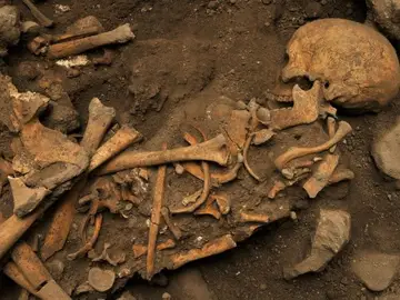Fósiles de homínidos descubiertos en la Cueva El Mirador, en Atapuerca Fósiles de homínidos descubiertos en la Cueva El Mirador, en Atapuerca