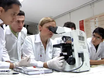 Desarrollan un antiviral contra el virus de la hepatitis C Desarrollan un antiviral contra el virus de la hepatitis C