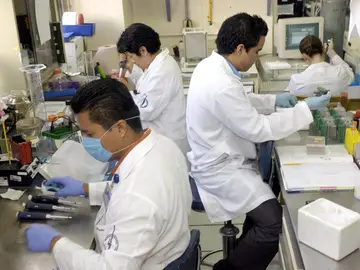 Científicos explican cómo las centrales de energía de las células sobreviven a los ataques Científicos explican cómo las centrales de energía de las células sobreviven a los ataques